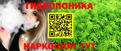 a pvp Гатчина