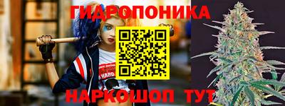 a pvp Гатчина