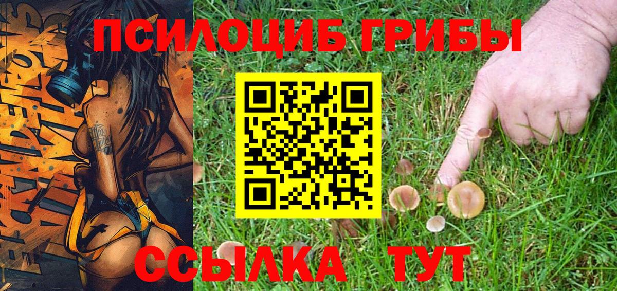 Псилоцибиновые грибы MAGIC MUSHROOMS Ливны