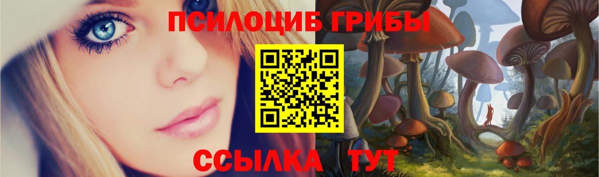 Псилоцибиновые грибы ЛСД  где можно купить наркотик  Псилоцибиновые грибы мицелий  Ливны  Вход с VPN 